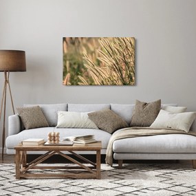Kép - Gabona (90x60 cm)