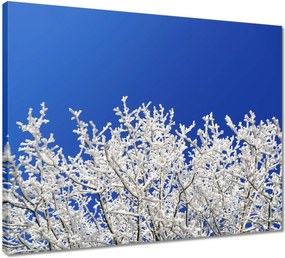 Vászonkép 50x40 Téli fa Dér Hó