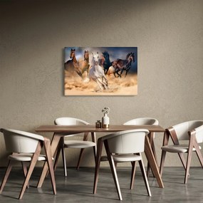 Kép - lovak a sivatagban (90x60 cm)