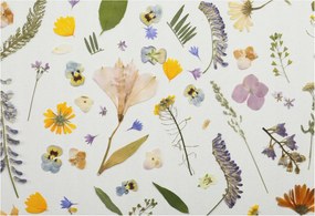 Fotótapéta Flizelin Dekoratív Hálószoba Tavaszi virágok 152x104 Ragasztó