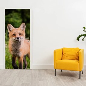 Fotótapéta ajtóra - Róka (95x205cm)
