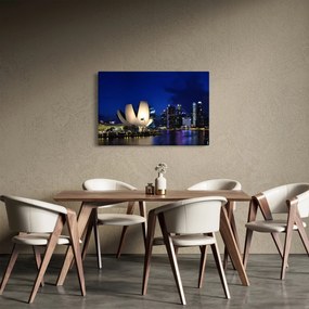 Éjszakai Szingapúr képe (90x60 cm)