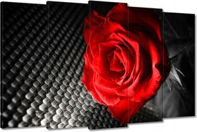 Vászonkép 150x95 Piros a szürkeség között