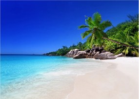 Kép a strandról a Praslin szigeten (üvegen) (70x50 cm)