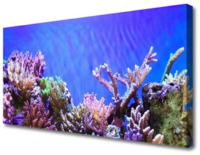 Vászonkép Barrier Reef Nature 100x50 cm