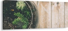 A pozsgás növények képe üvegben (120x50 cm)