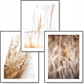 Boho 3 kép 30x40 Száraz Fű Bézs poszter #19