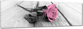 Vászonkép 150x50 Rózsa világos deszkákon