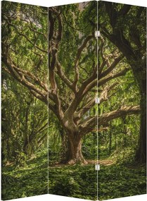 Paraván - Fa (126x170 cm)