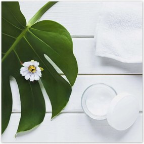 Poszterek 100x100 Kozmetikumok a természetből