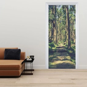 Fotótapéta ajtóra - Ösvény a fák között (95x205cm)