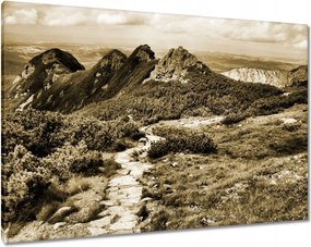 Képek 100x70 Tátra Lengyel hegyek Kilátás