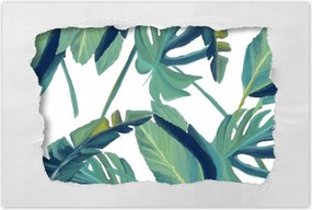 Poszter 60x40 Monstera Levelek levél