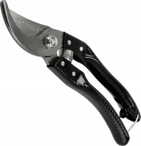 Metszőolló Bokrok Virágainak Ágaihoz Éles Mona Rugó Robusztus