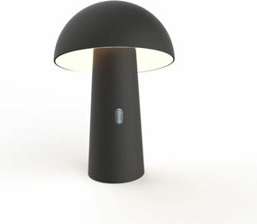KING HOME LUMSTK025NXWLNW SHITAKE Kültéri Dekorációs Lámpa LED IP44