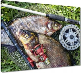 Vászonkép 50x40 Nagy friss hal