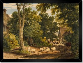 Poszterek keretben 40x30 Bárányok bárányok