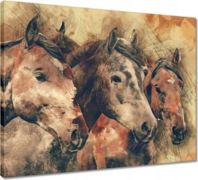 Vászonkép 50x40 Lófejek