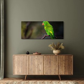 Papagáj egy ágon képe (120x50 cm)