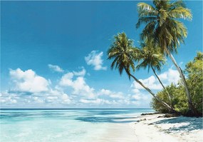 Fotótapéta Tengerpart Pálmafák Tájkép Falra Hálószoba Nappali 350x250