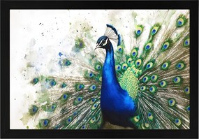 Poszter Keret Fa Akvarell Természet Portré Madár Páva Elegancia 60x40