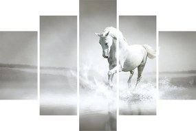 Kép - Fehér ló (150x105 cm)