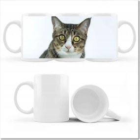 Nyomott mintás bögre Cica Cicák Macskák