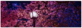 Poszterek 200x66 Mély éjszaka Lámpa Virágok