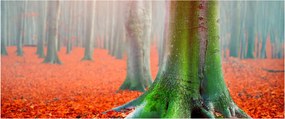 Fa képe (120x50 cm)