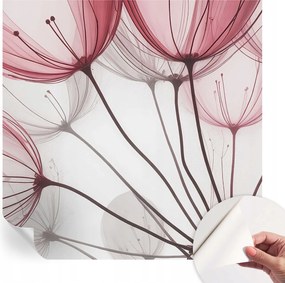 Öntapadós Dekoratív Fotótapéta Hálószobába Virágos sziluettek 250x250