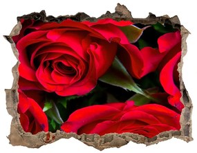 3d-s lyuk vizuális effektusok matrica Vörös rózsák nd-k-76865971