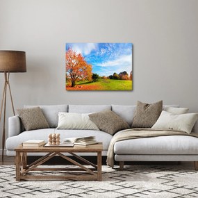 Kép - Őszi táj (70x50 cm)