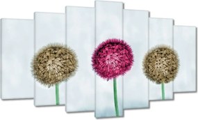 Képek 140x80 Pitypangok