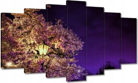 Festmények 140x80 Éjszakai motívum a nappaliba