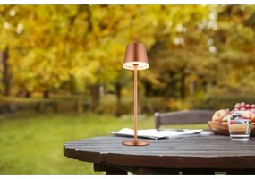 Globo 36637RM - LED Napelemes lámpa LED/0,6W/3V 3000K IP44 réz