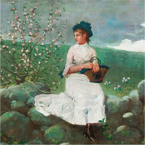 Fotótapéta Flizelin Hálószoba és Nappali Tapéta Virágos nyugalom 250x250