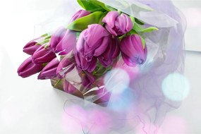 Kép - csokor tulipán (90x60 cm)