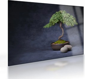 Kép - Bonsai (üvegen) (70x50 cm)