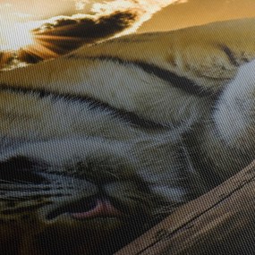 Alvó tigris képe (90x60 cm)