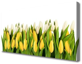 Vászonfotó Tulipán virágok Plant 140x70 cm