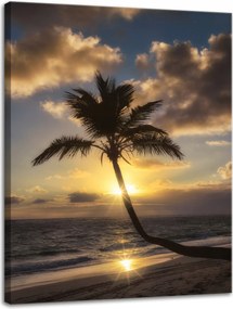 Våszonkép Natura Palma a nyugat között 30x40