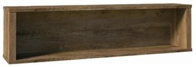 Polc Modestus W1. 779538