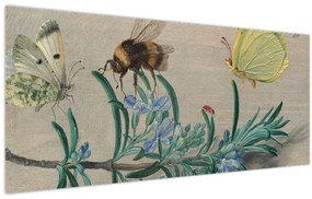 Kép - Jan van Kessel the Elder, Insects and a Sprig of Rosemary, reprodukciók (120x50 cm)