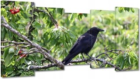 Vászonkép 150x80 Madarak