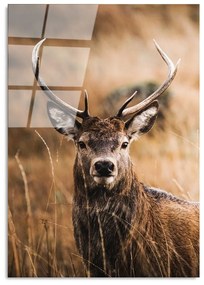 Üveg kép 70x100 cm Deer – Wallity