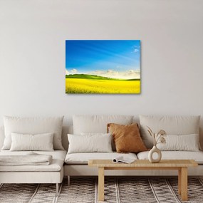 Kép - Tavaszi ég (70x50 cm)