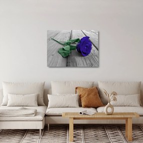 Üveg kép - Kék rózsa zöld szárral (70x50 cm)