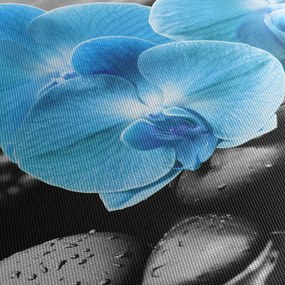 Kép - Kék orchidea (120x50 cm)
