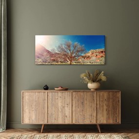 Fa a sivatagban képe (120x50 cm)