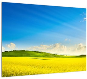 Kép - Tavaszi ég (üvegen) (70x50 cm)